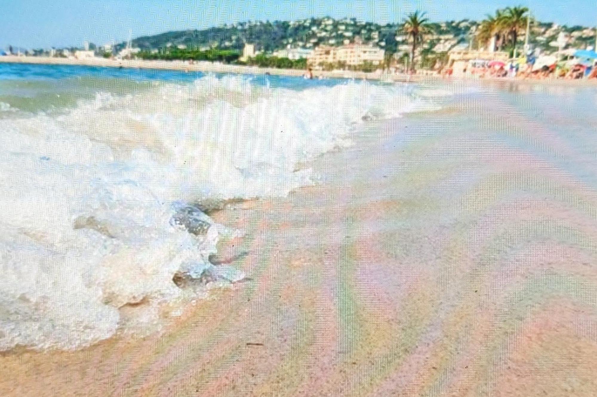 Residence De Vacances Avec Piscine & Transat, A 2 Minutes Des Plages - Bat N2 Vallauris Zewnętrze zdjęcie